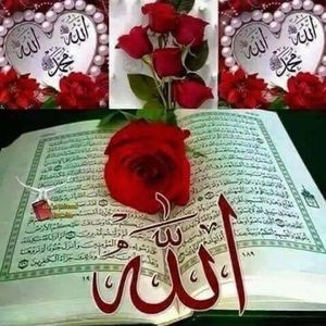 Meet your Posher, Samina